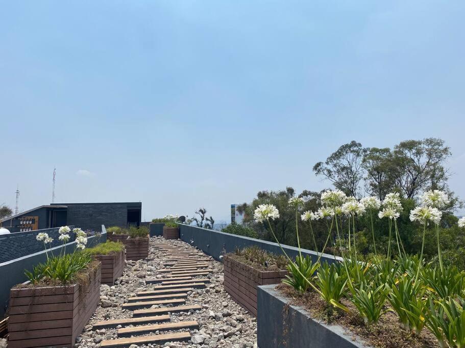 Апартаменти Nuevo Y Ubicado Departamento Zona Santafe Мехіко Екстер'єр фото